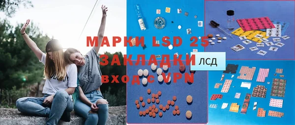 спайс Кулебаки