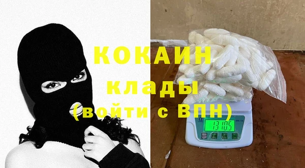 твердый Осинники