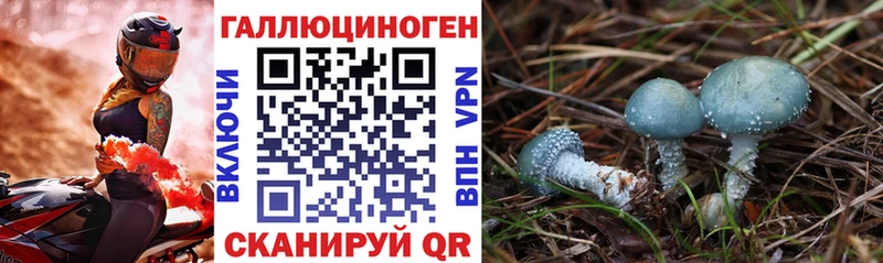закладка  Спасск-Рязанский  Галлюциногенные грибы Magic Shrooms 